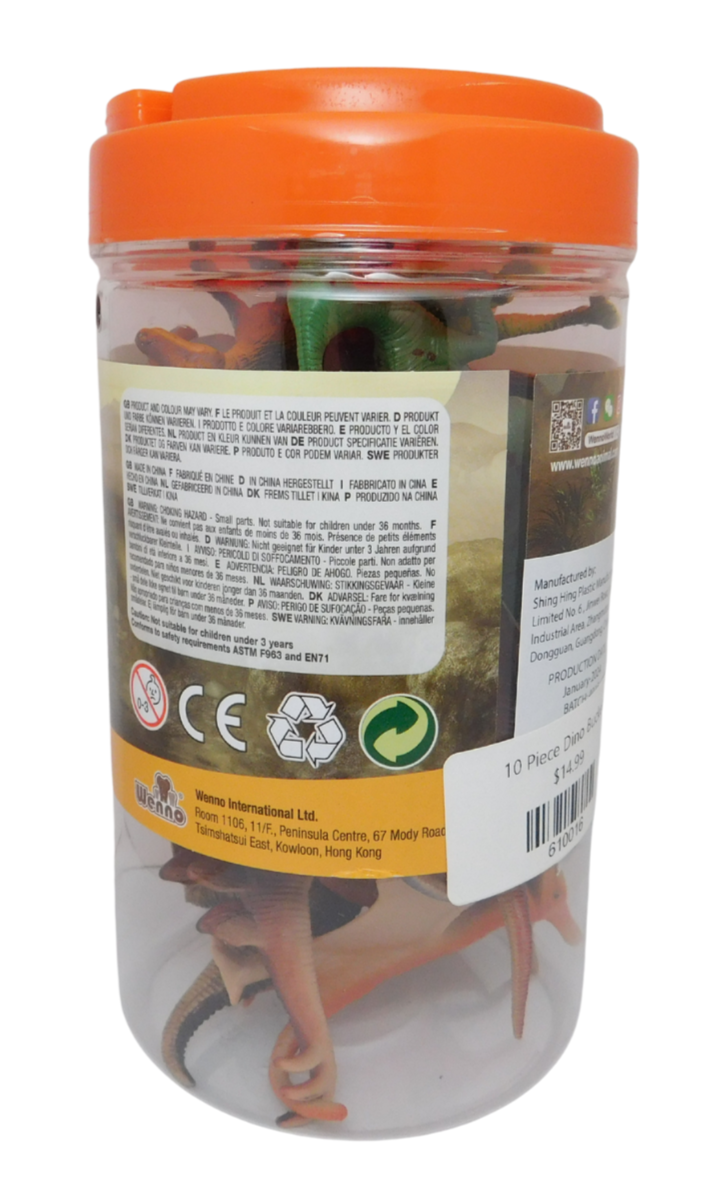 10 Piece Dino Bucket