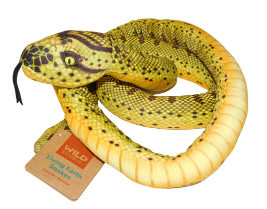 Anaconda Plush