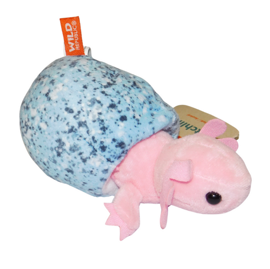 Axolotl Hatchling Plush
