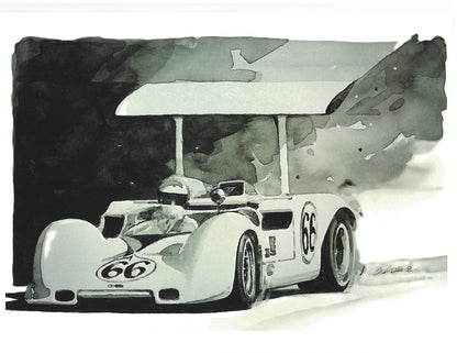 Chaparral Print