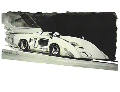 Chaparral Print