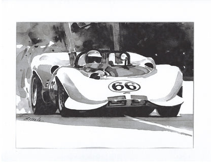 Chaparral Print