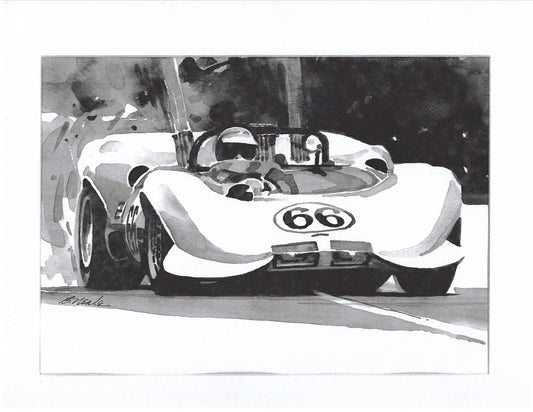 CHAPARRAL PRINT
