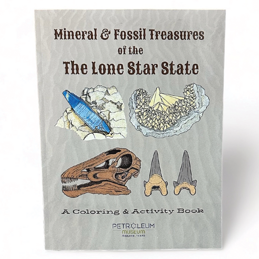 Museum Coloring and Activity Book