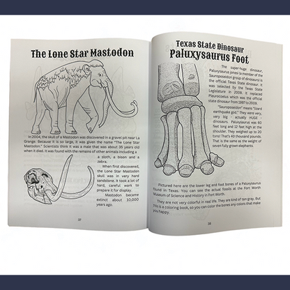 Museum Coloring and Activity Book