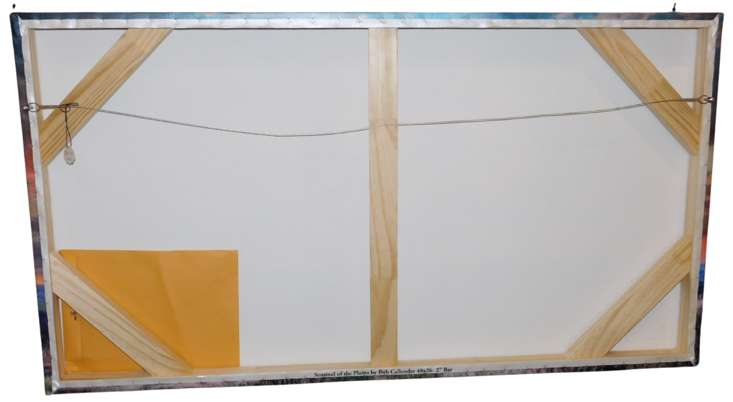 Sentinel of the Plains